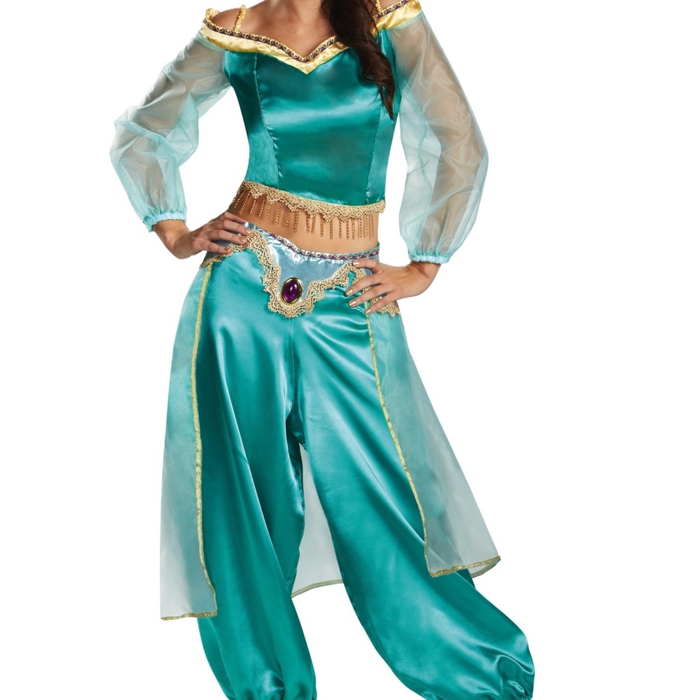 Adult Jasmine Costume